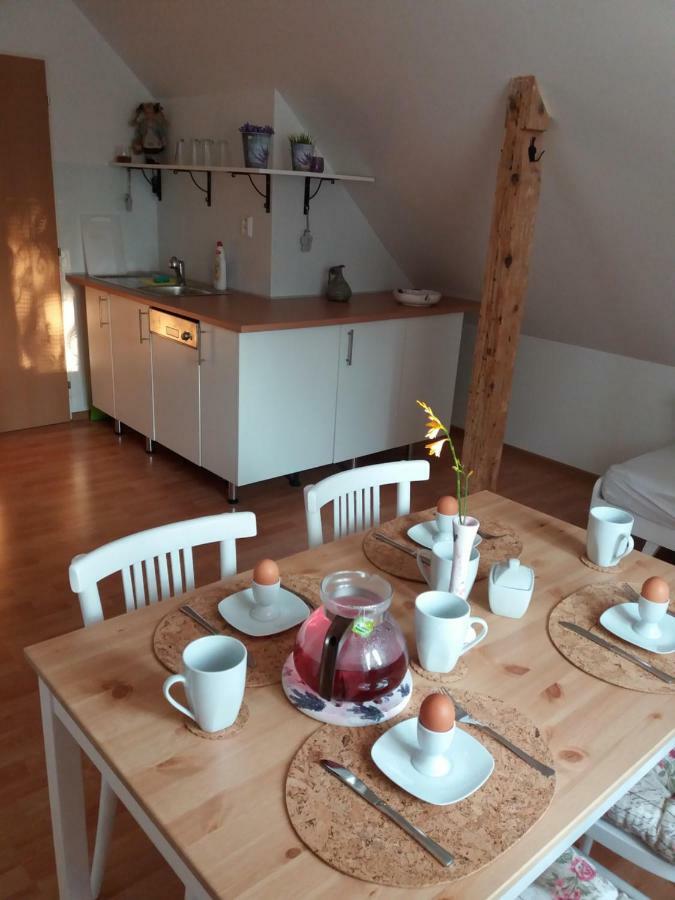 Apartmany F-M Frýdek-Místek 外观 照片